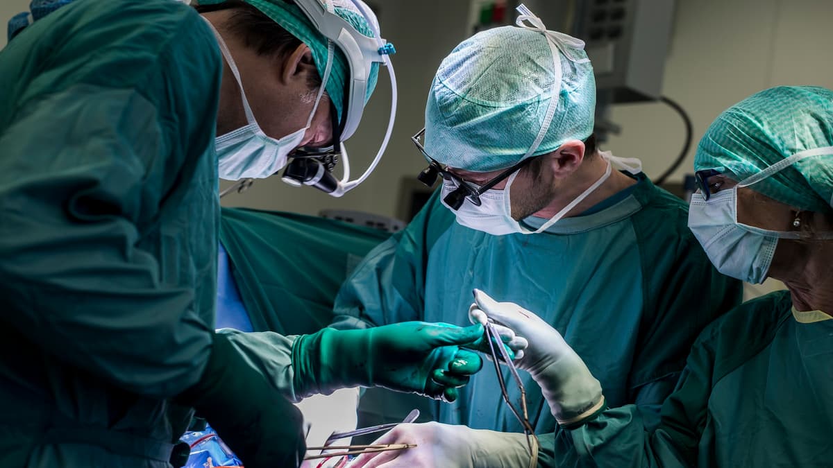 Metode Revolusioner REUP Ubah Cara Transplantasi Jantung Donor Setelah Meninggal