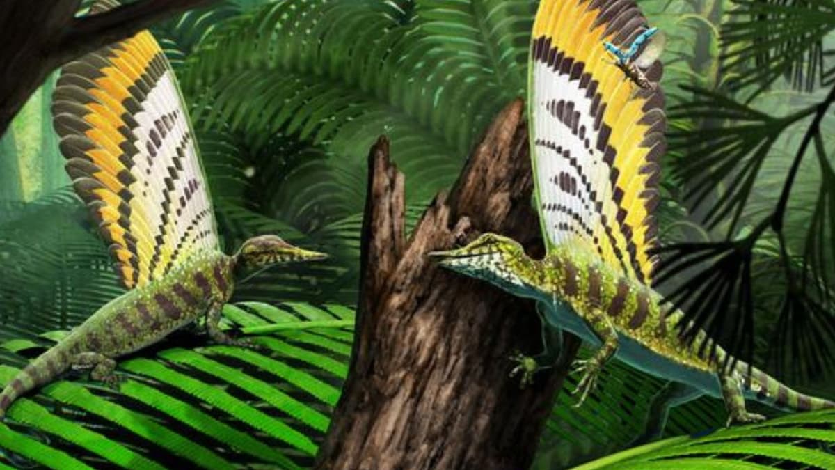 Mirasaura: Reptil 247 Juta Tahun dengan Struktur Kulit Seperti Bulu Pertama di Dunia