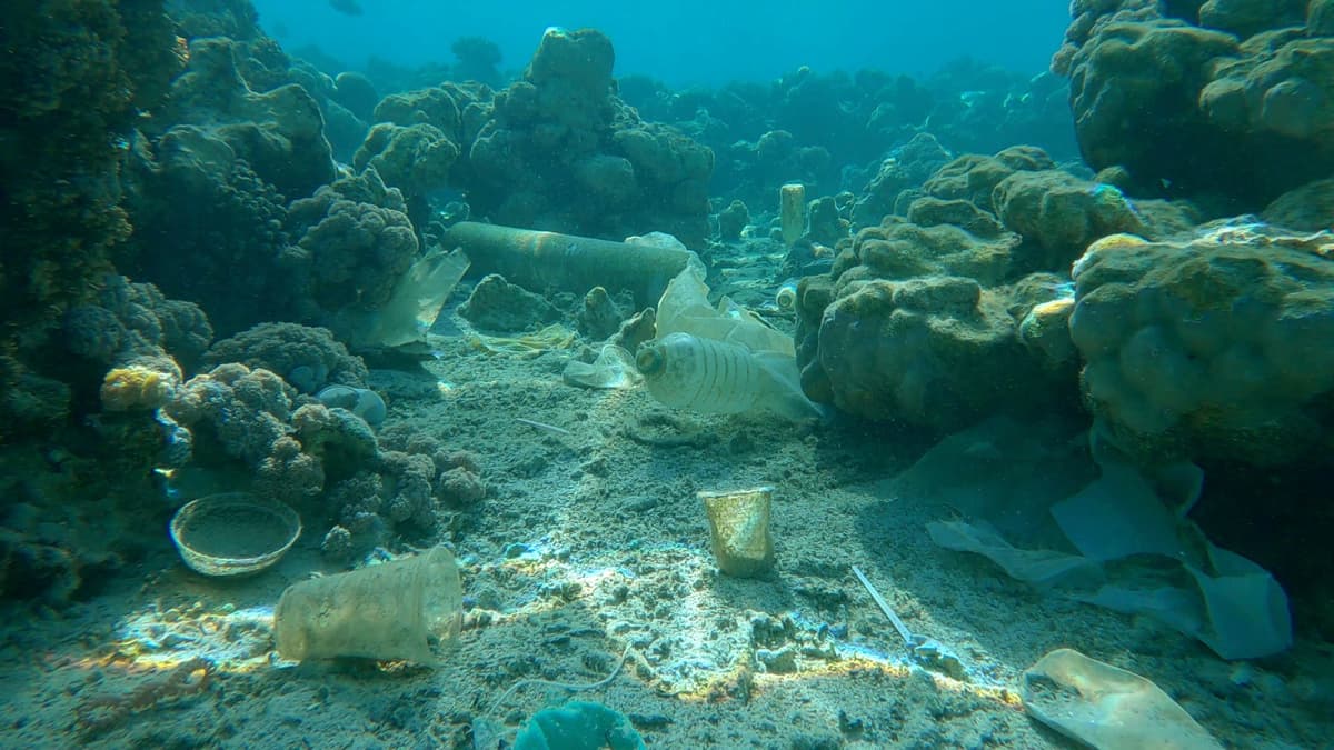Plastik Ramah Lingkungan LAHB Terurai Cepat di Dasar Laut Dalam Jepang