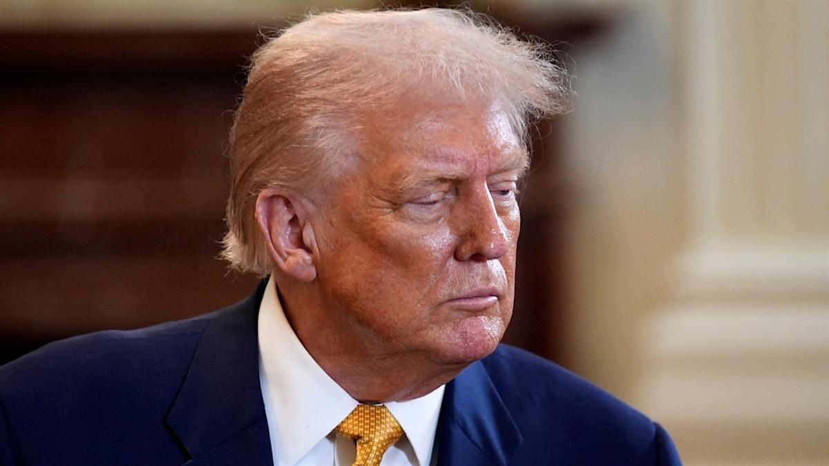 Navrina Singh Jelaskan Pentingnya AI Open-Source dalam Rencana Aksi Amerika