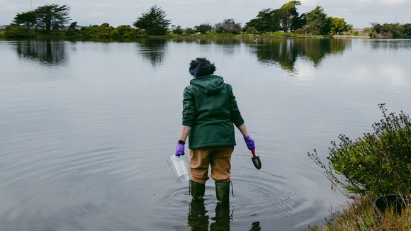 Jurnal Science Cabut Makalah Kontroversial Mikroba Arsenik Setelah 15 Tahun