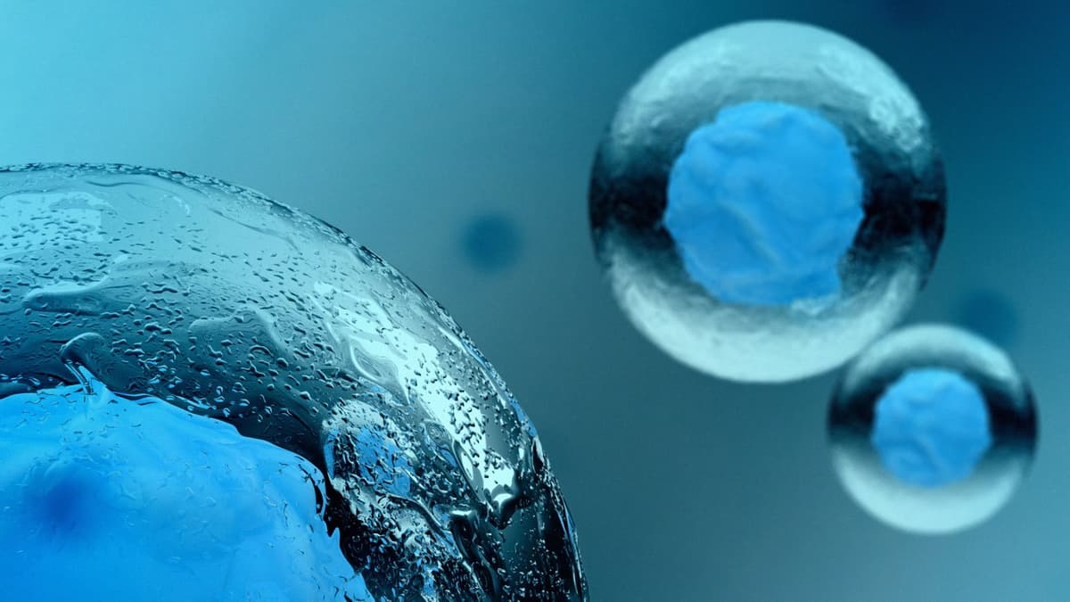 Peneliti Ciptakan Sel Buatan Terp simplest yang Bisa Bergerak Pakai Kimia