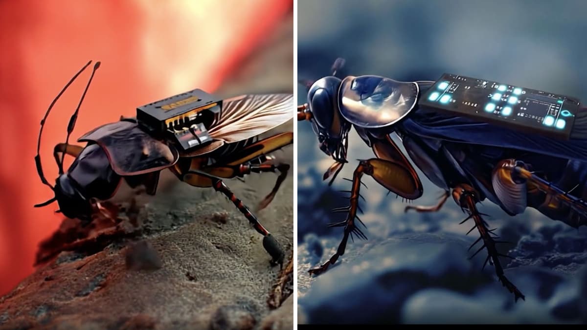 Kecoak Cyborg: Robot Mini Pengintai di Zona Berbahaya dan Sulit Dijangkau