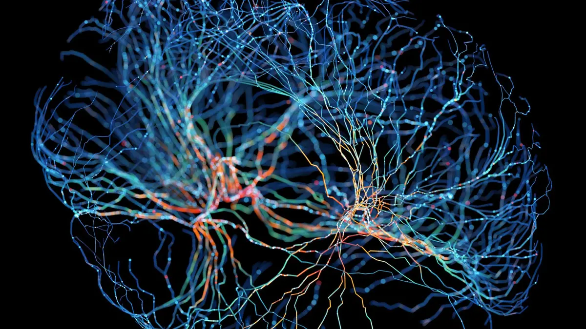 Penemuan Organioid Otak Utuh yang Membantu Studi Penyakit Neuropsikiatri