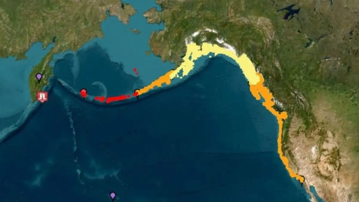 Gempa Hebat 8,8 di Kamchatka Picu Peringatan Tsunami di Pasifik