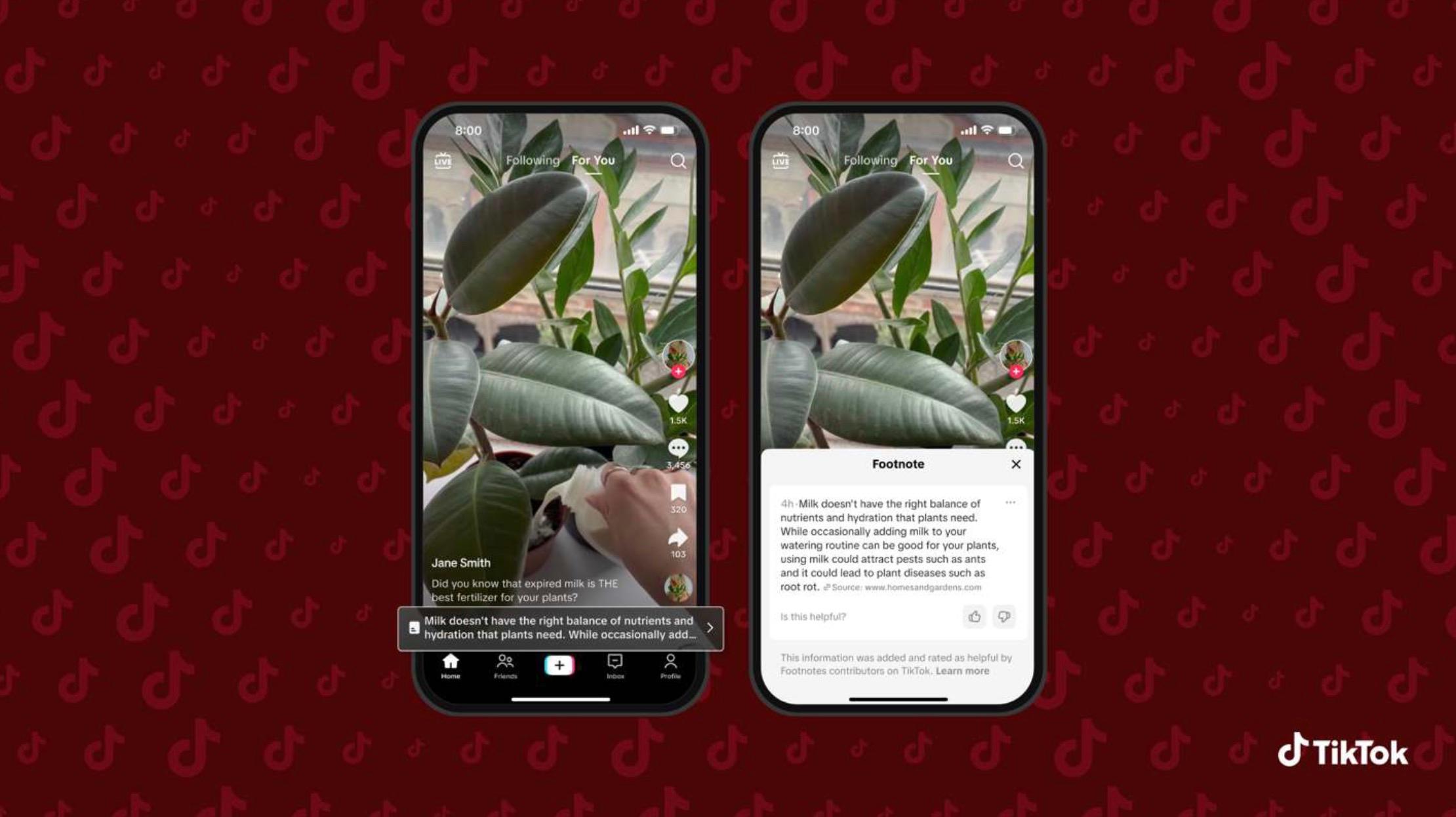 TikTok Luncurkan Footnotes: Sistem Cek Fakta dari Komunitas untuk Video