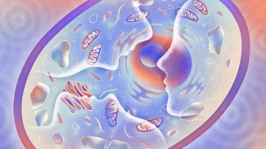 Sel Tunggal Bisa Mengingat: Menyingkap Memori di Luar Sistem Saraf