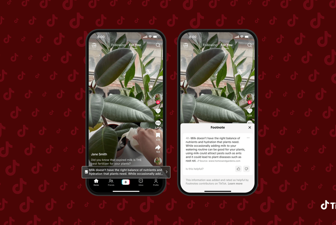 TikTok Luncurkan Footnotes, Fitur Faktual Berbasis Komunitas untuk Video