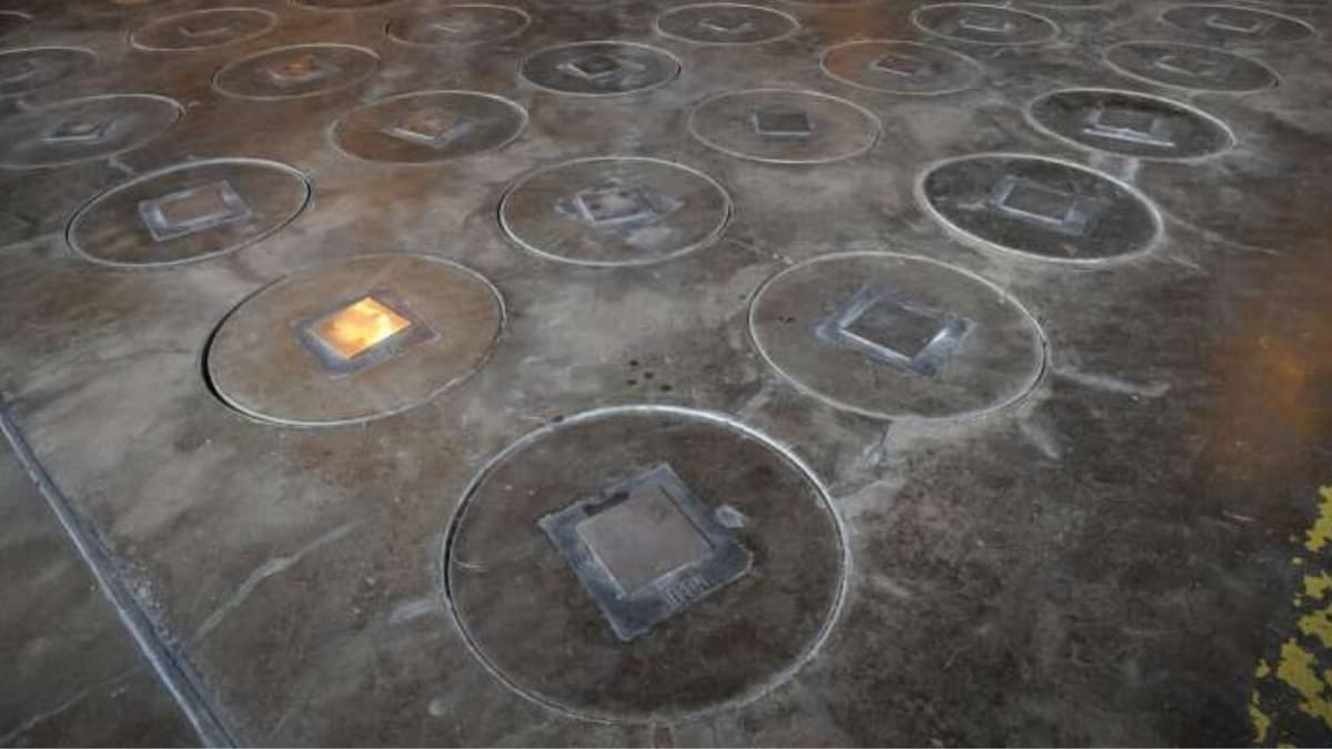 Sarang Tawon Radioaktif Ditemukan di Situs Nuklir Bersejarah Amerika Serikat