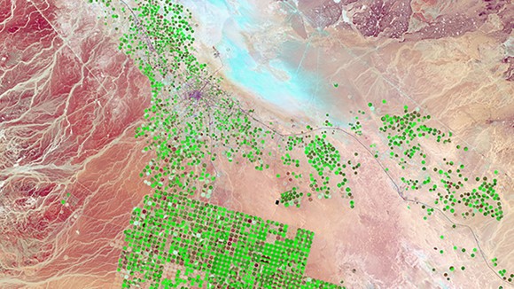 Google Luncurkan AI AlphaEarth, Pemetaan Bumi Jadi Lebih Cepat dan Akurat