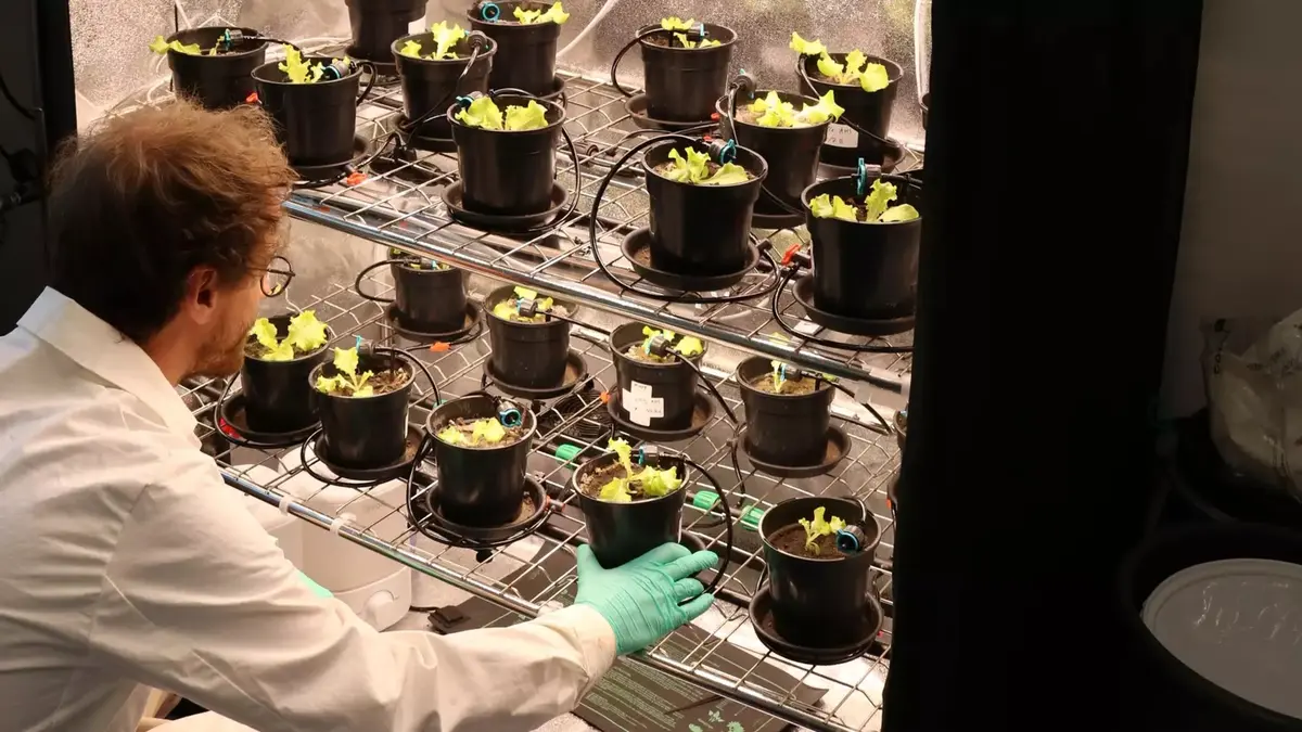 Inovasi Humify: Mengubah Limbah Organik Menjadi Solusi Cepat Untuk Menangkal Krisis Iklim