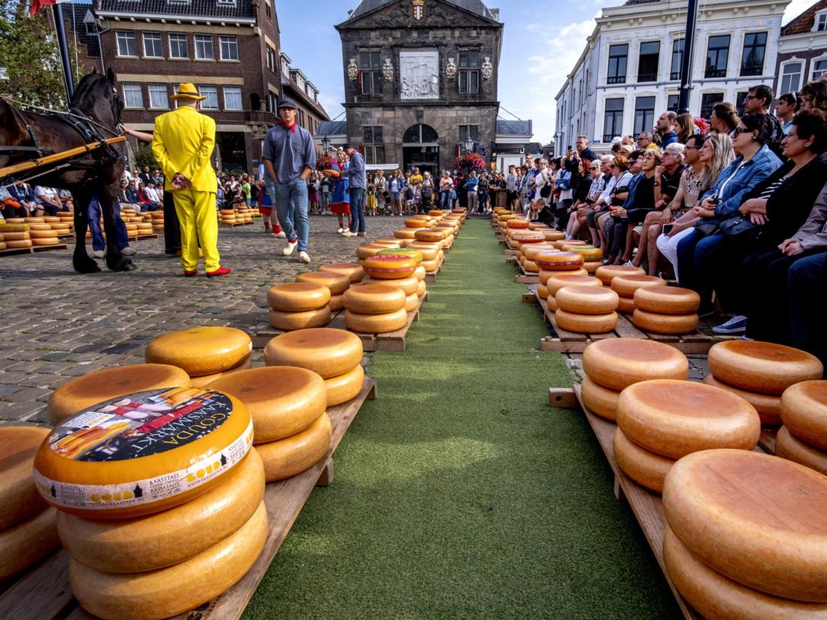 Dampak Perubahan Iklim Terhadap Kualitas Susu Sapi dan Rasa Keju