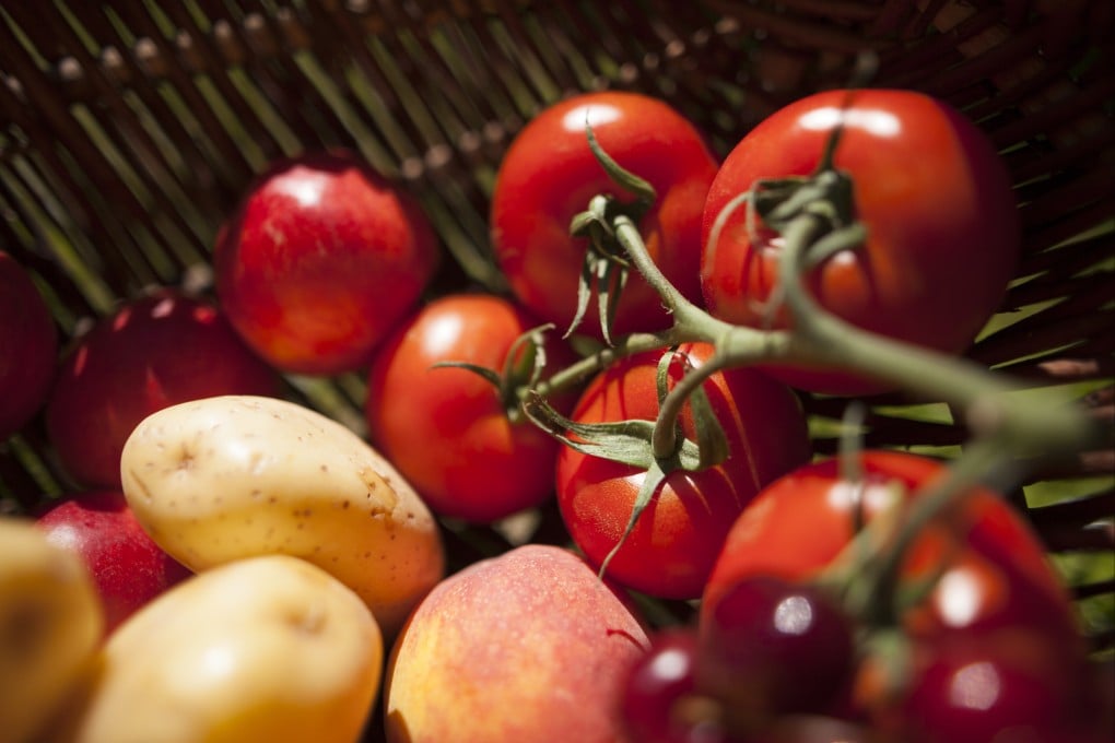 Penelitian Ungkap Asal Usul Umur Kentang dari Hibridisasi Kuno dengan Nenek Moyang Tomat