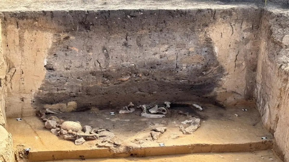 Ritual Kompleks Budaya Salzmünde: Jawaban Prasejarah terhadap Krisis Lingkungan dan Sosial