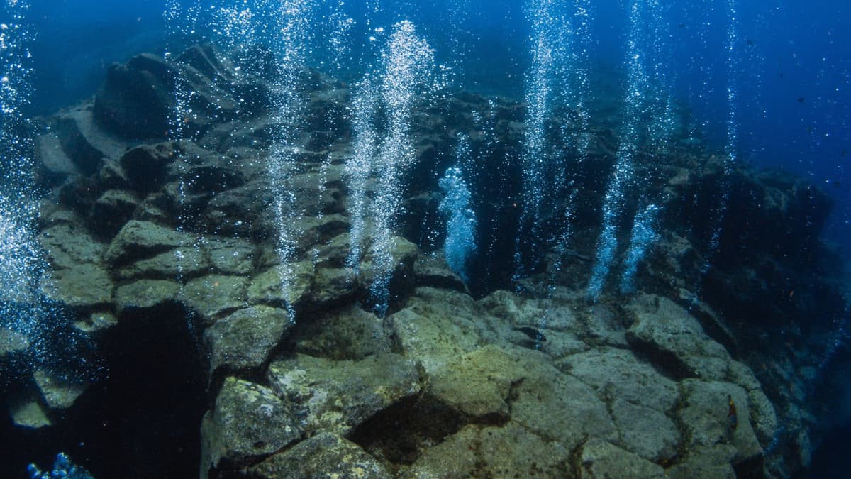 Gempa Bumi Hasilkan Energi Rahasia untuk Kehidupan Mikroba di Dalam Bumi