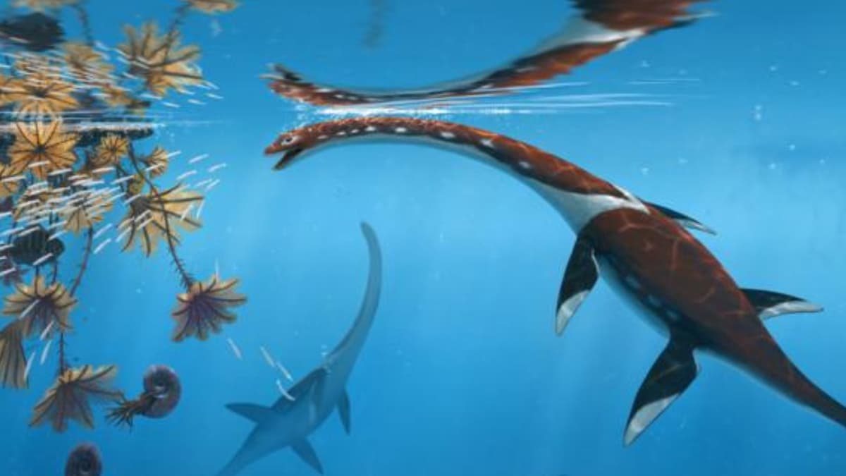 Penemuan Plesiosaur Baru Menyuguhkan Wawasan Evolusi Laut Jurassic