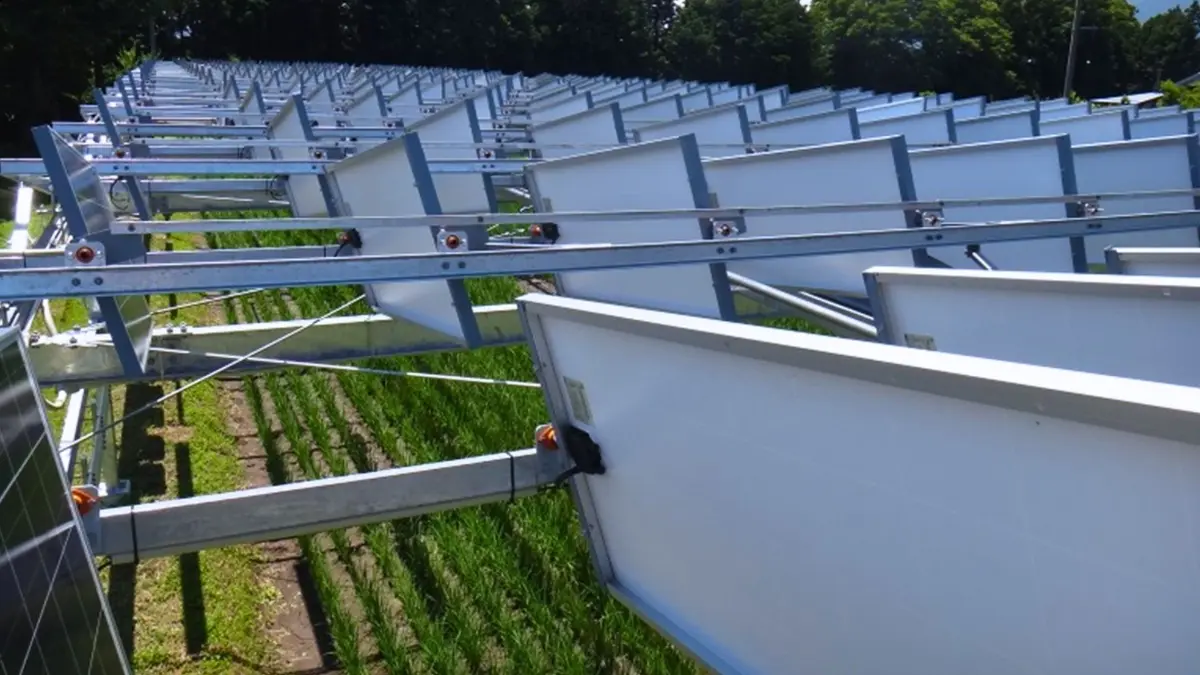 Agrivoltaik Jepang: Menghasilkan Listrik dan Beras Tanpa Korbankan Lahan