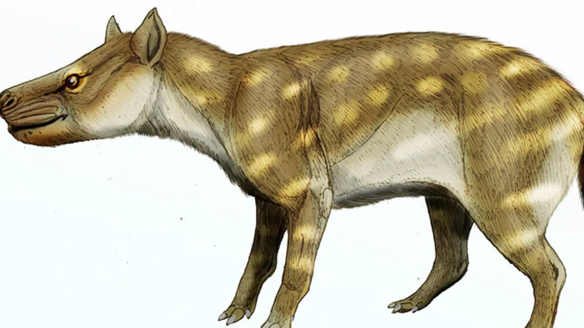 Adaptasi Makanan Dissacus 56 Juta Tahun Lalu Jadi Pelajaran Perubahan Iklim