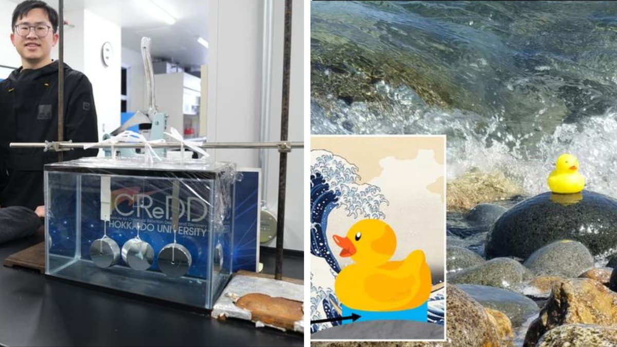 Hidrogel Baru dengan Perekat Terkuat untuk Lingkungan Bawah Air Dikembangkan di Jepang