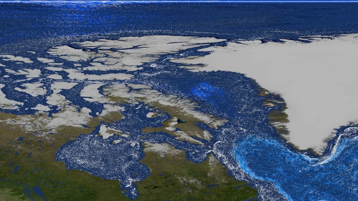 Pencairan Es Greenland Dorong Ledakan Fitoplankton di Laut Arktik