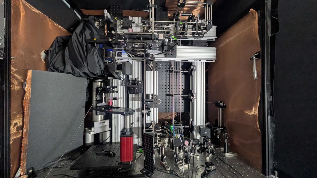 Mikroskop Inovatif Menembus Kedalaman Otak Tanpa Pewarna dan Modifikasi