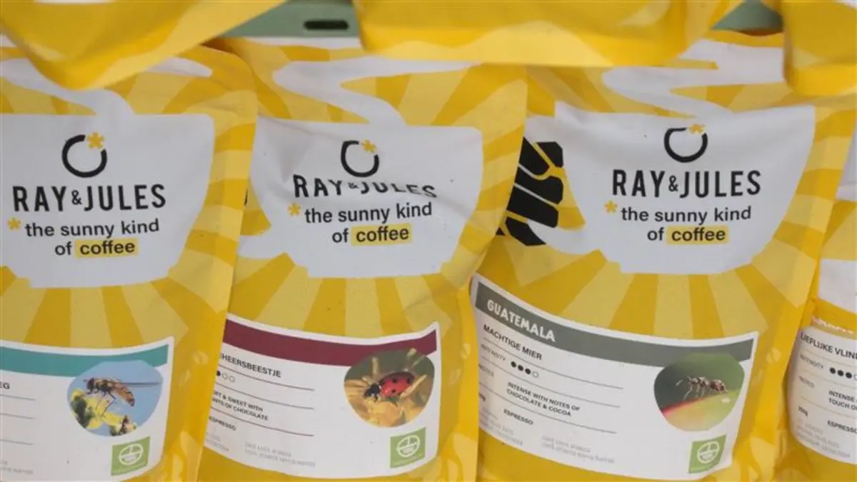 Revolusi Pemanggangan Kopi Ramah Lingkungan dengan Teknologi Digital Siemens