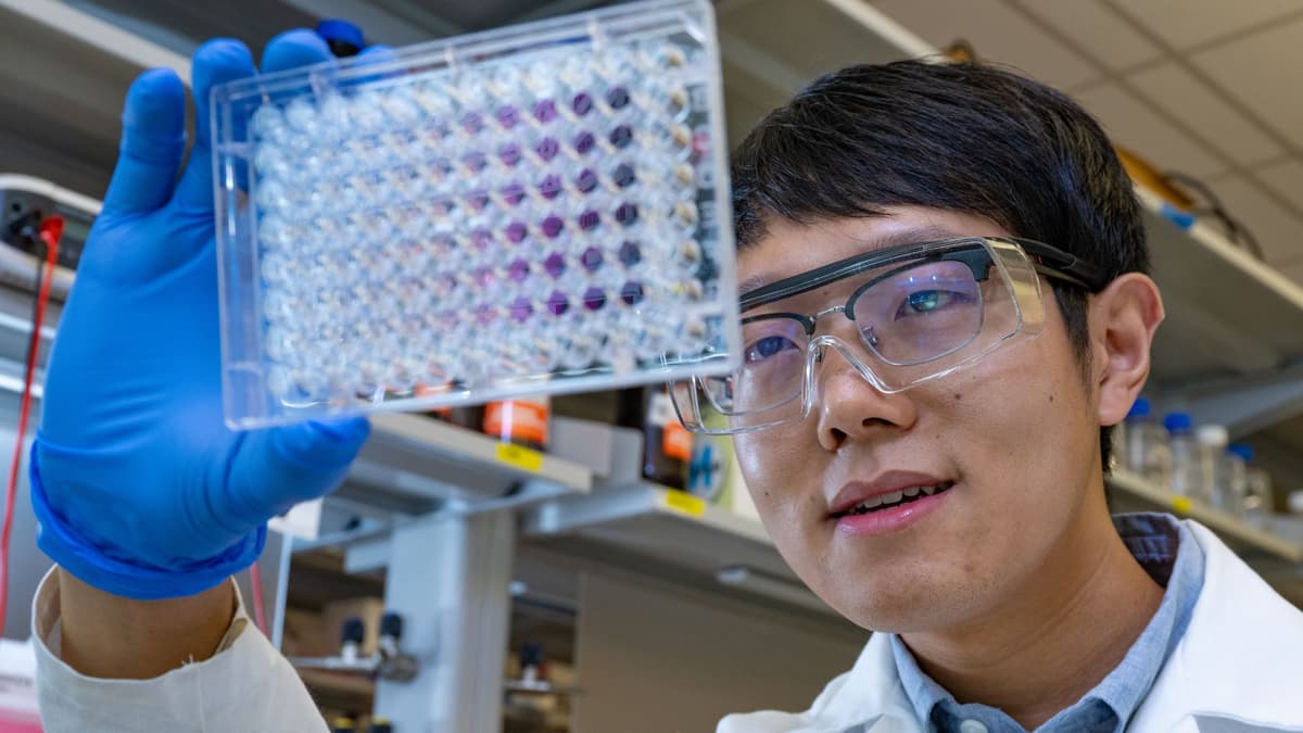 Rahasia Bakteri Lactococcus lactis dalam Meningkatkan Produksi Vitamin K₂