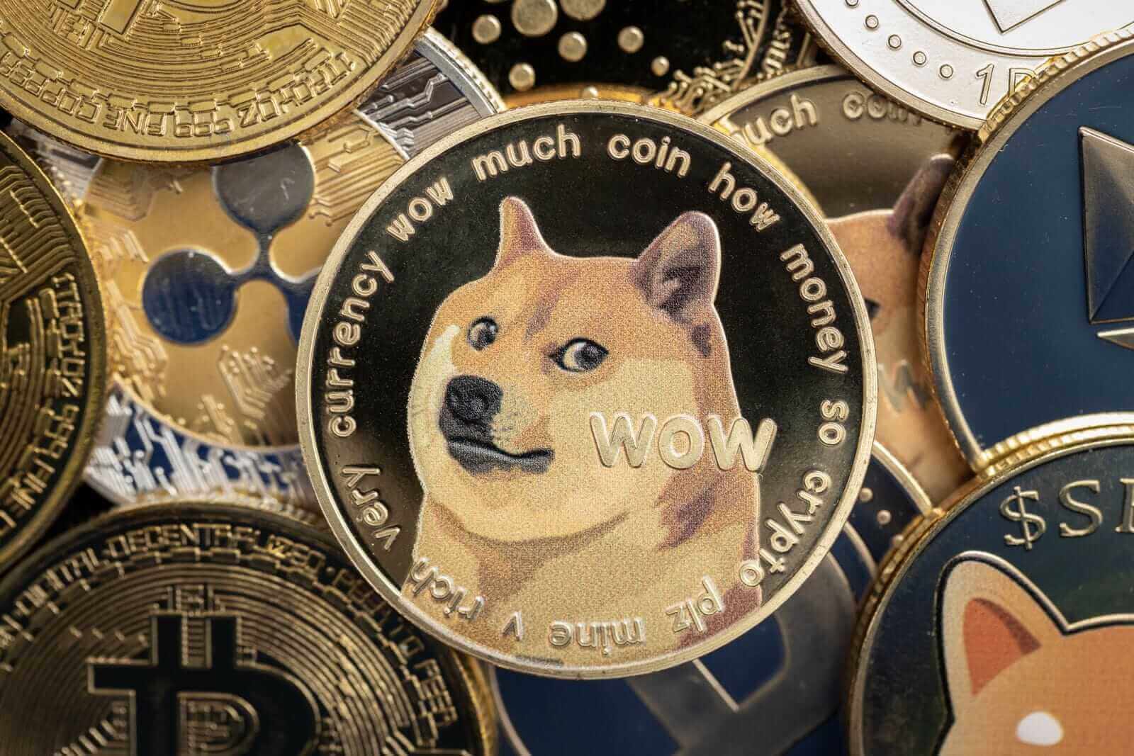 Mengapa Dogecoin Kurang Menjanjikan di Tengah Meningkatnya Altcoin Populer