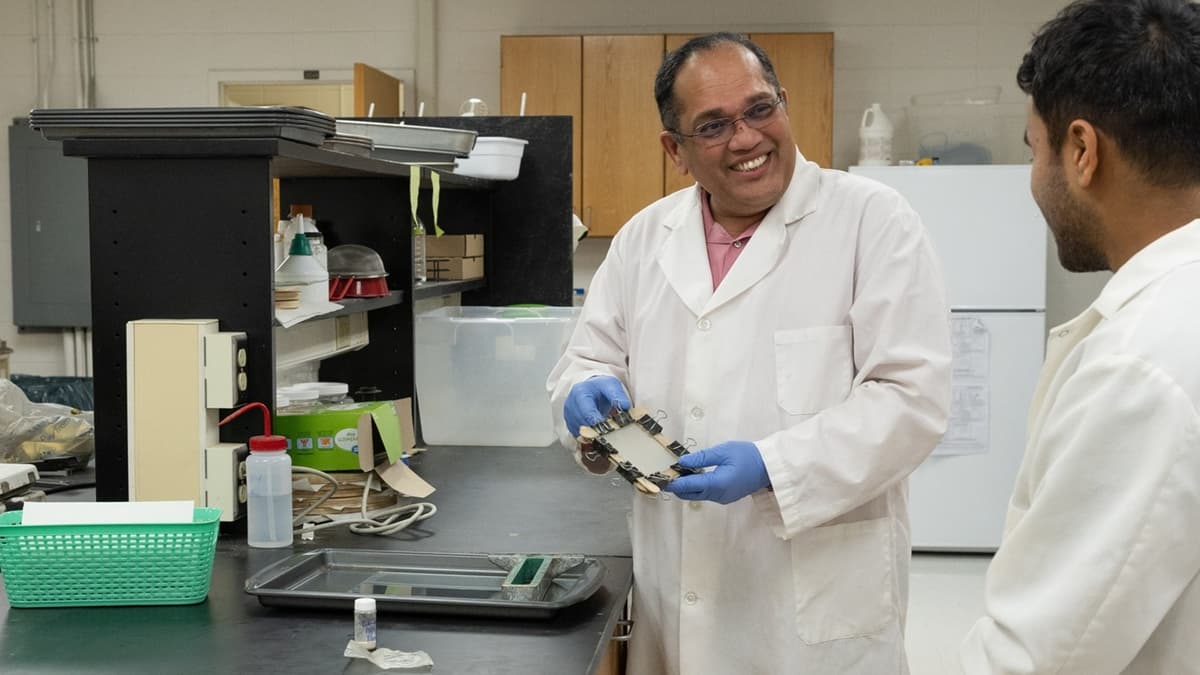 Bahan Kemasan Ramah Lingkungan dari Ranting Anggur yang Kuat dan Cepat Terurai