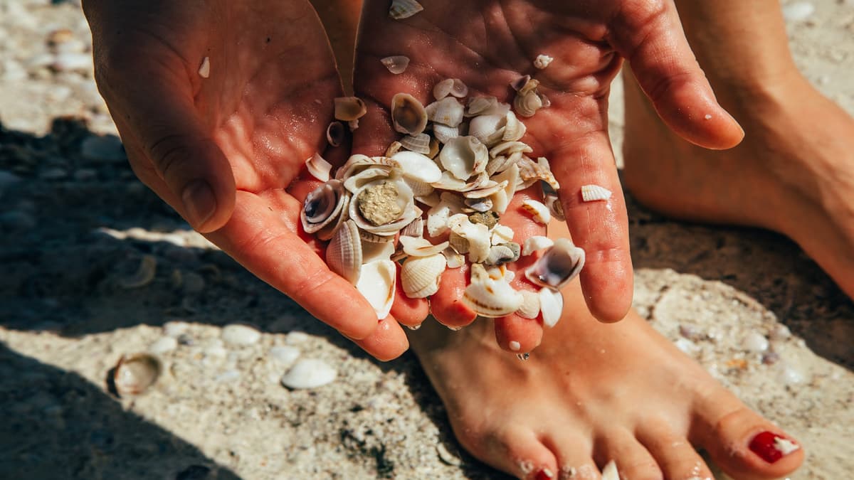 Material Plastik Daur Ulang Lebih Kuat Berkat Desain Terinspirasi Kerang Laut