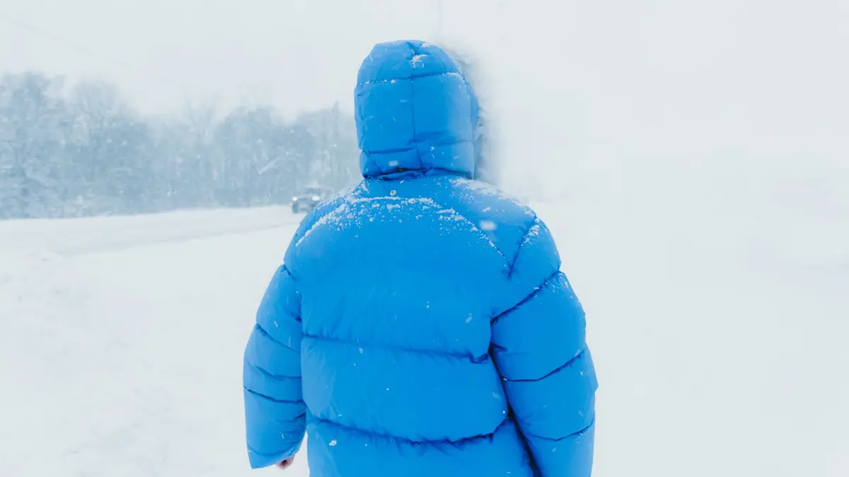 Jaket Pintar Berbasis Selulosa Bakteri: Solusi Adaptif Untuk Cuaca Dingin