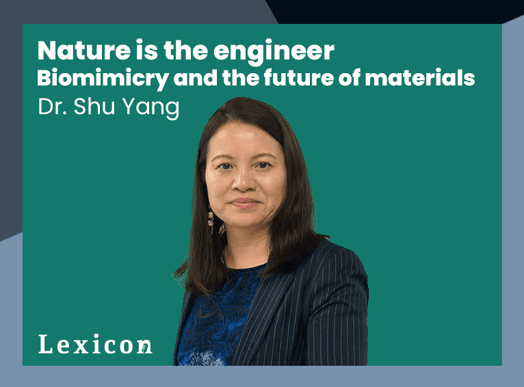 Inovasi Material Berkelanjutan: Inspirasi Alam dan Geometri untuk Masa Depan