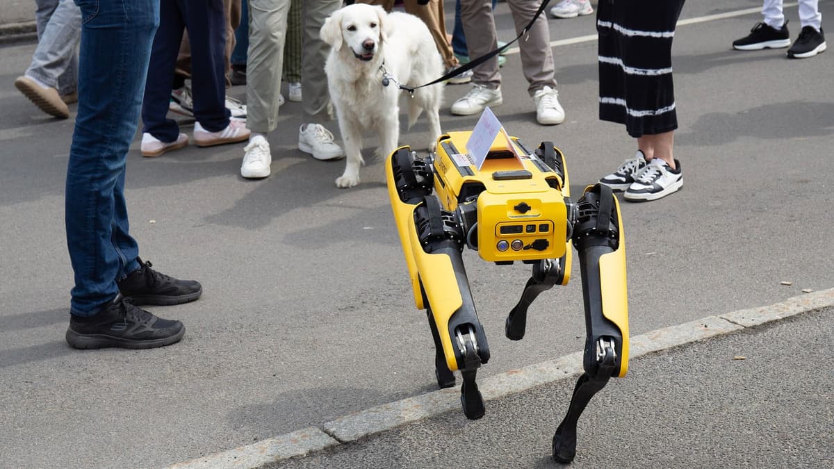 Hong Kong Gunakan Robot Anjing untuk Lawan Virus Nyamuk Chikungunya