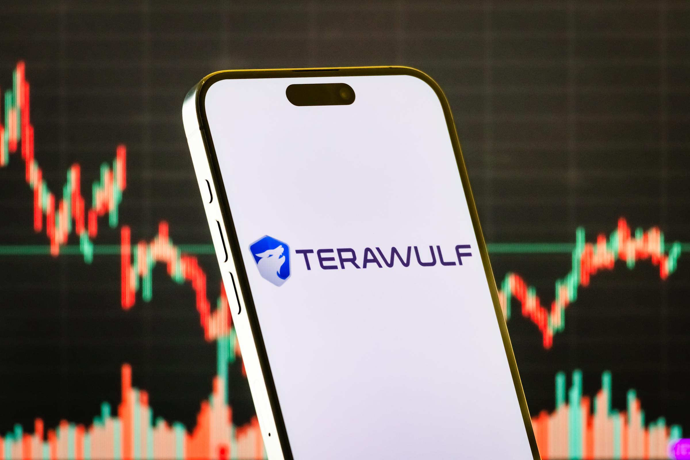 Google Tingkatkan Investasi di TeraWulf Dukung Ekspansi Pusat Data AI dan Bitcoin