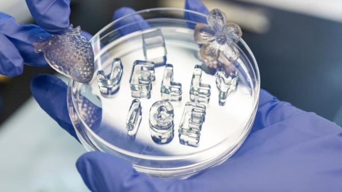 Jelly Ice: Es Ramah Lingkungan yang Tidak Meninggalkan Genangan Air