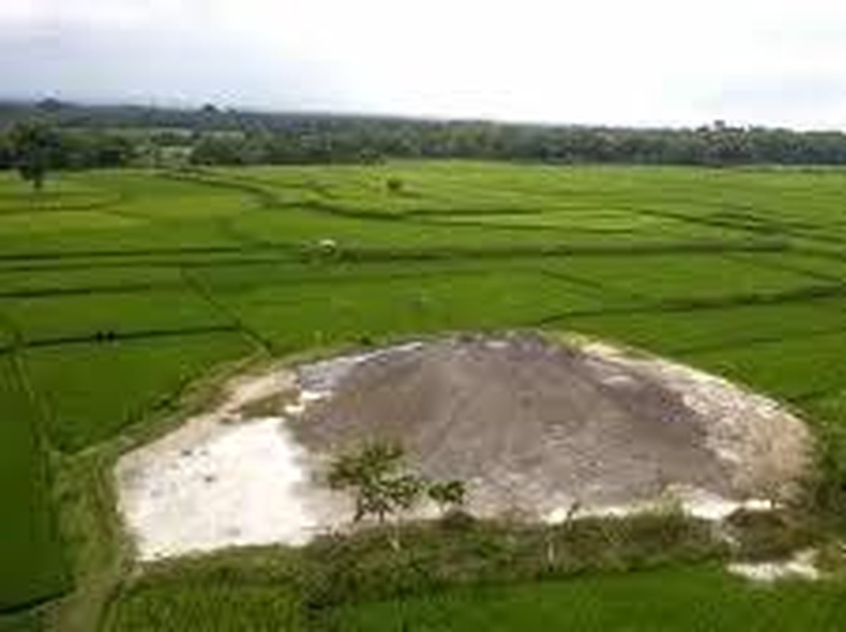 Fenomena Gunung Lumpur di Grobogan Pasca Gempa: Fakta dan Peluangnya