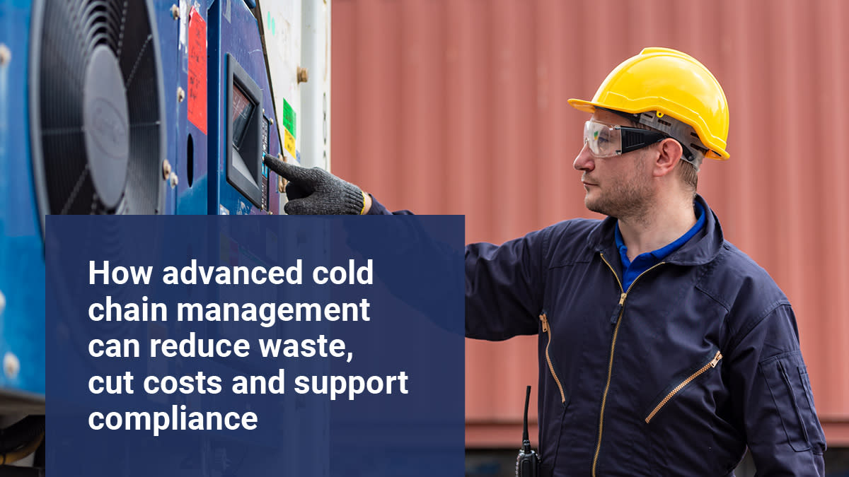 Panduan Lengkap Mengelola Rantai Dingin untuk Hemat Biaya dan Risiko