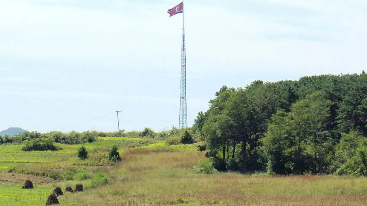 DMZ Korea: Dari Zona Konflik Jadi Surga Satwa Langka dan Alam