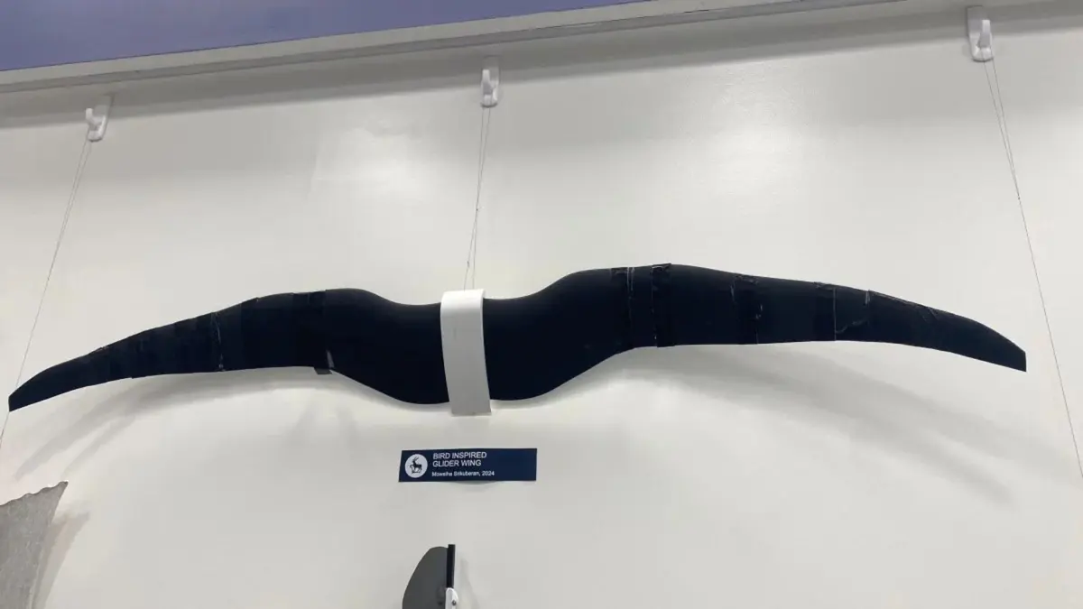 Menggabungkan Ketahanan dan Ketangkasan: Drone Fixed-Wing Terinspirasi Burung Pemangsa