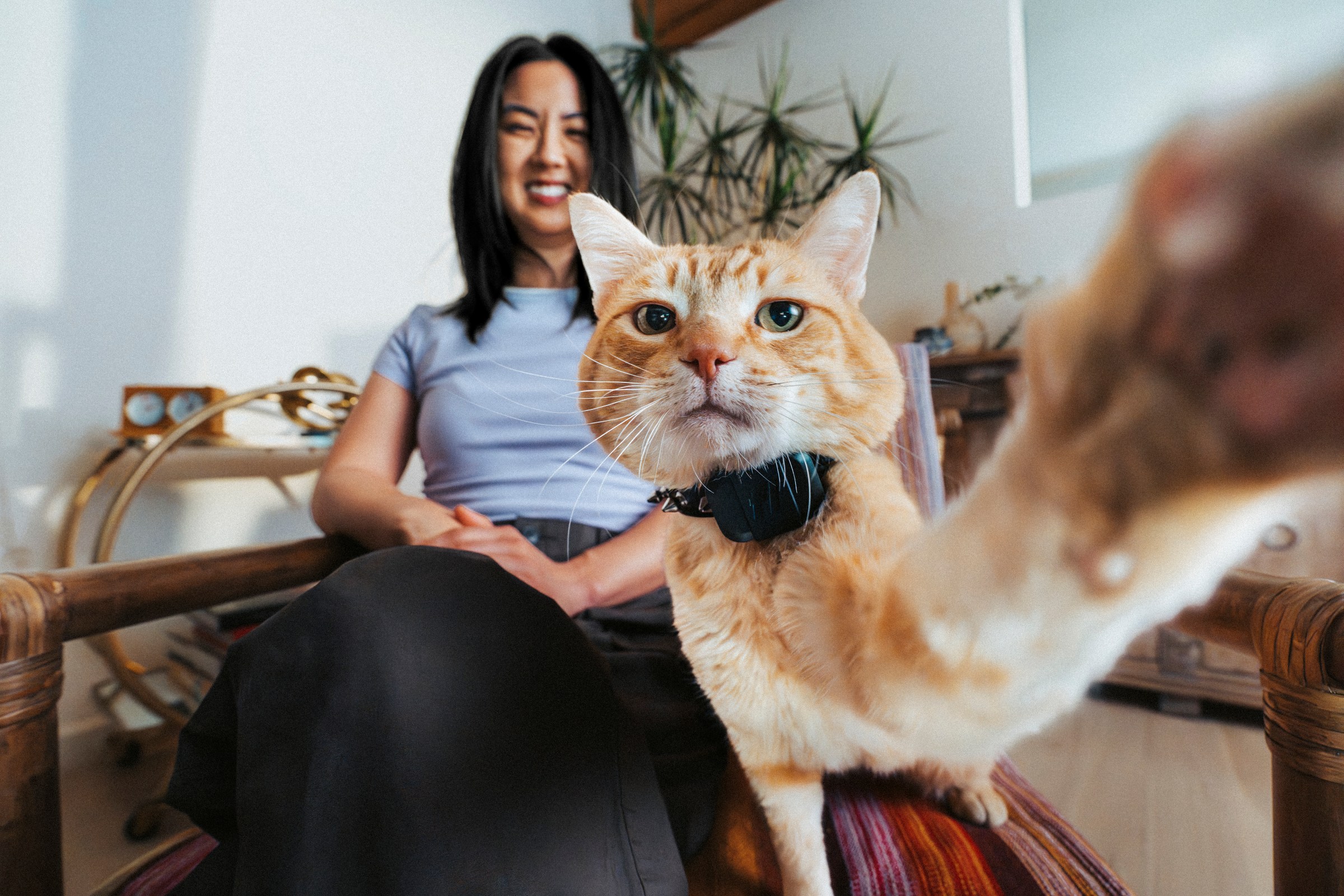 Fi Mini: Pelacak GPS Ringan dan Cerdas Untuk Anjing dan Kucing Kecil