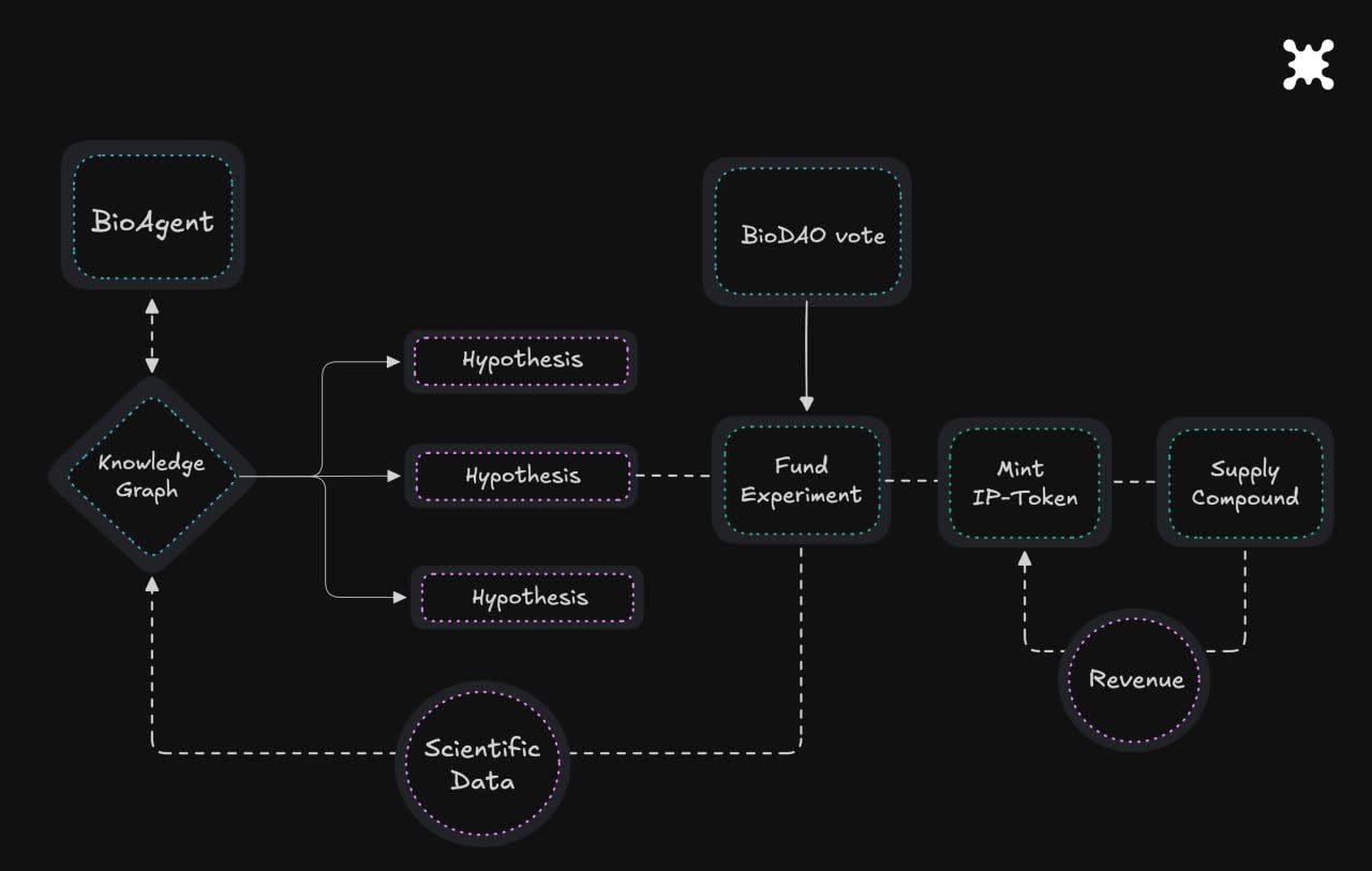 Aubrai: Mengubah Pendanaan Riset Usia Panjang Dengan Blockchain dan AI