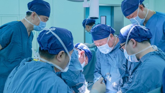 Transplantasi Paru dari Babi Genetik: Terobosan Baru Penyelamat Nyawa