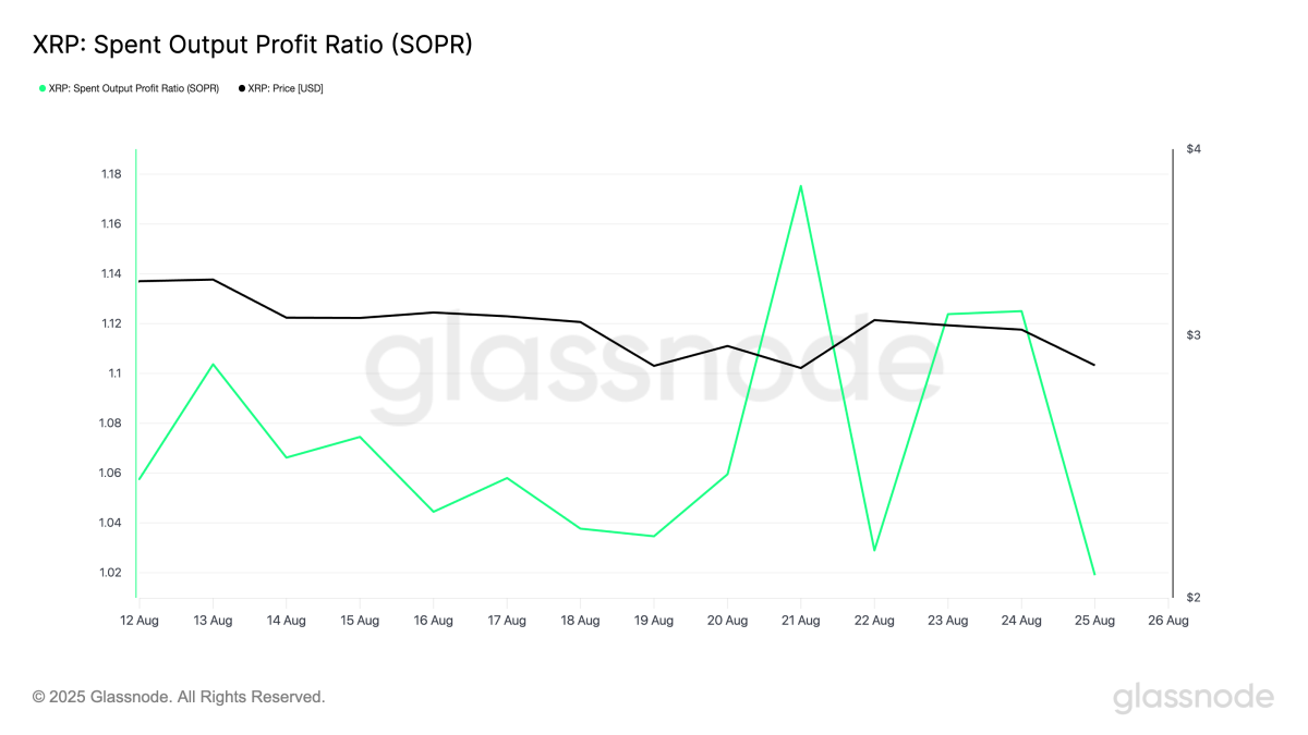 XRP Tunjukkan Kekuatan di Tengah Penurunan Bitcoin, Target Harga Meningkat