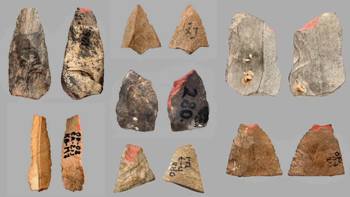 Temuan Panah Tertua Berusia 80.000 Tahun di Uzbekistan Ungkap Sejarah Baru