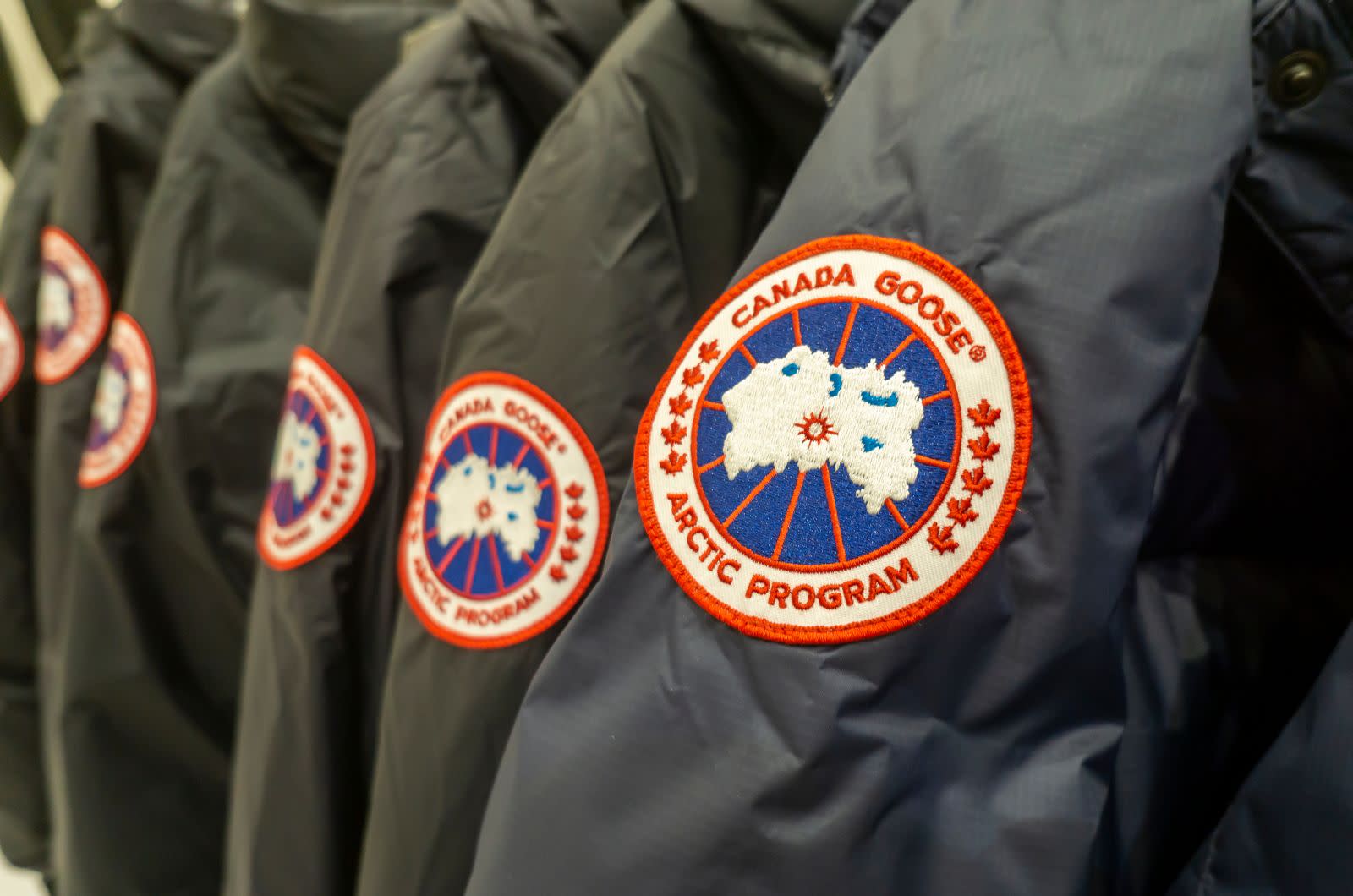 Potensi Takeover Canada Goose: Saham Melonjak di Tengah Transformasi Bisnis