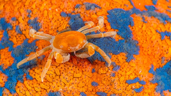 Mengurangi Sampah Plastik: Solusi Ramah Lingkungan yang Perlu Diketahui Semua