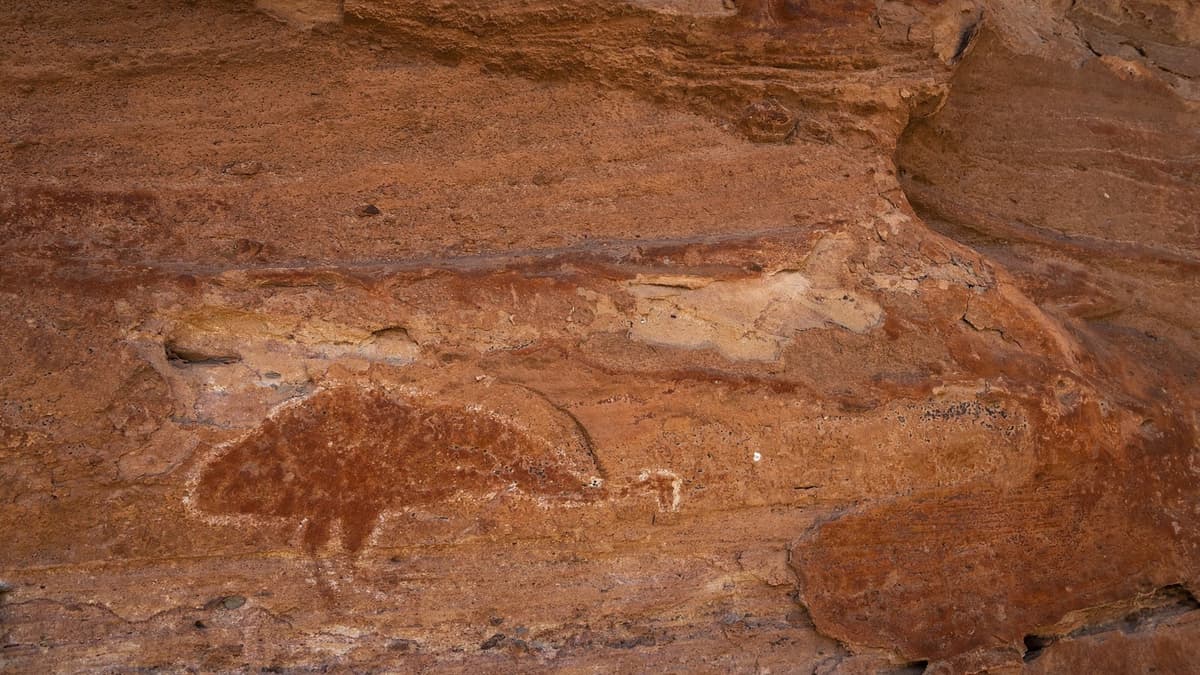 Kapan Manusia Pertama Kali Mendarat di Australia? Temuan Baru Jadi Kunci