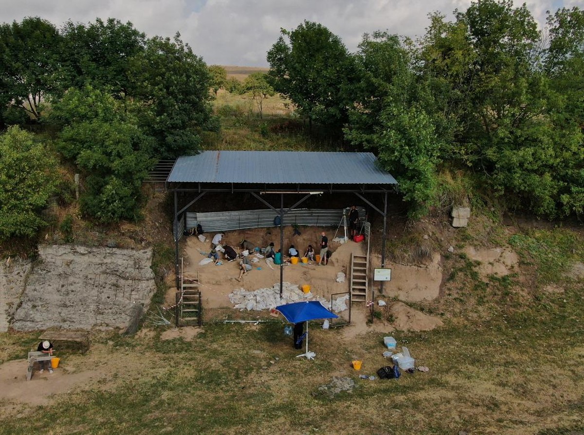 Penemuan Tulang Rahang Homo Erectus 1,8 Juta Tahun Ungkap Sejarah Manusia Purba Eurasia