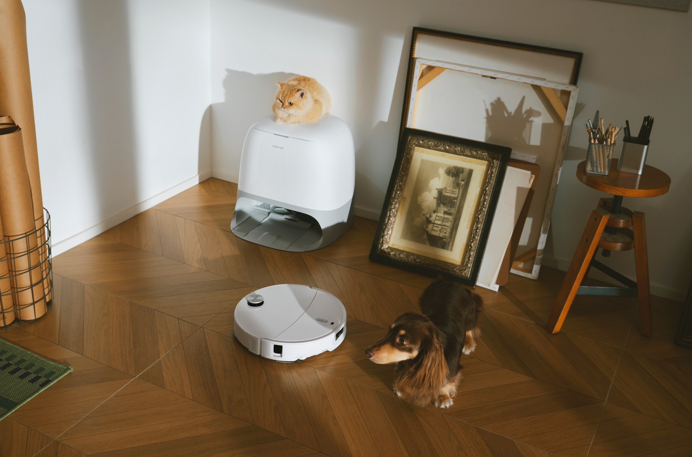 Roborock Qrevo Curv 2 Pro Hadir dengan Daya Isap 25.000 Pa dan Fitur AI Canggih