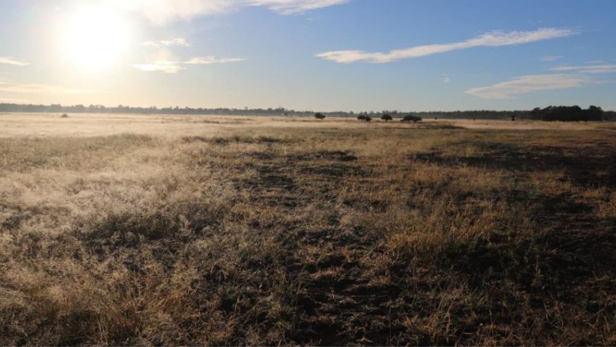 Lubang Bor Batubara Bekas di Queensland Mengeluarkan Emisi Metana Super Besar